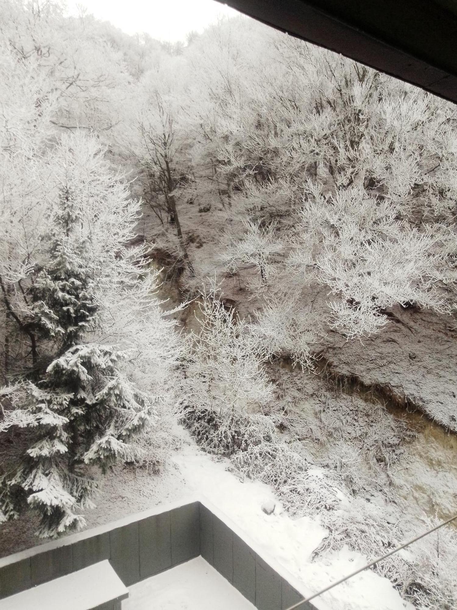 Apartmán Artesina Exteriér fotografie